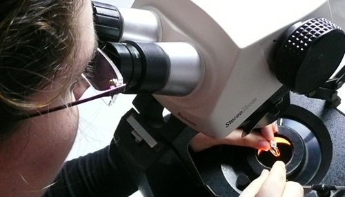 Inspecting a jewelry at EGA laboratory